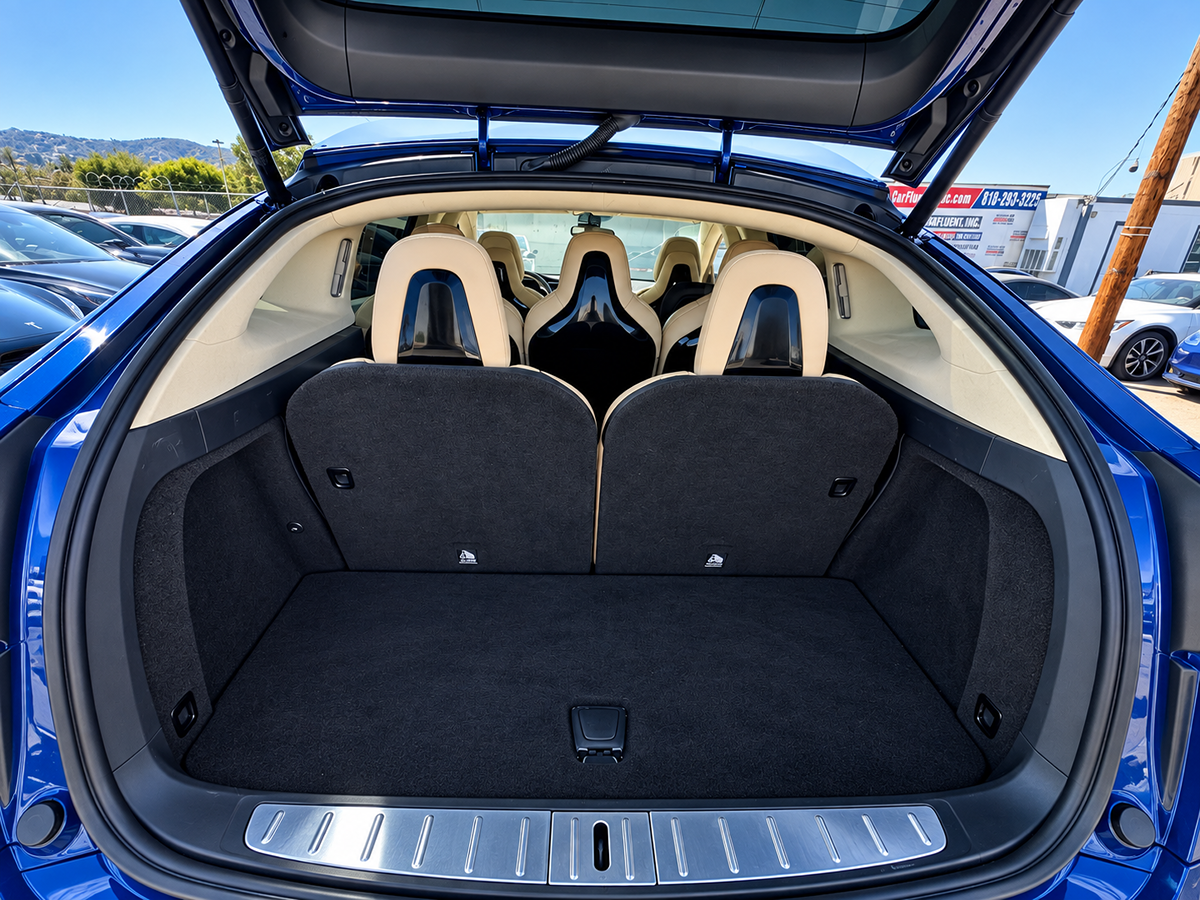 Tesla Model X photo 18