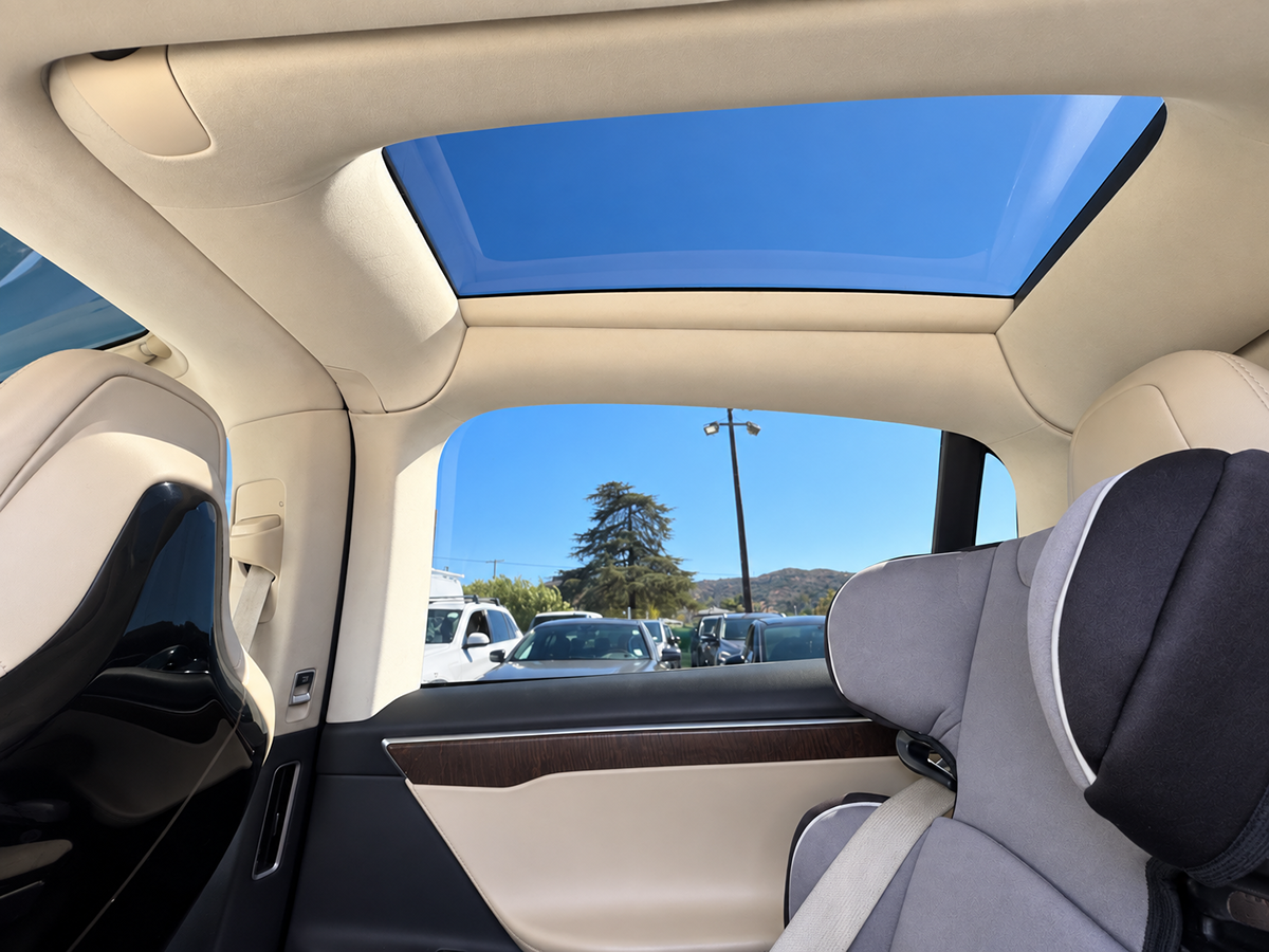 Tesla Model X photo 39