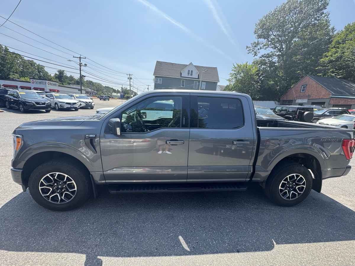 2023 Ford F-150 XLT photo 3