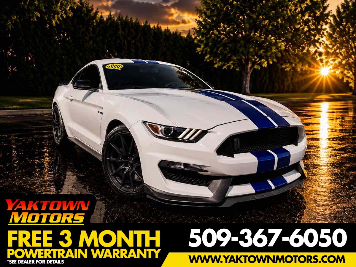 2018 Ford Mustang Shelby GT350's photo