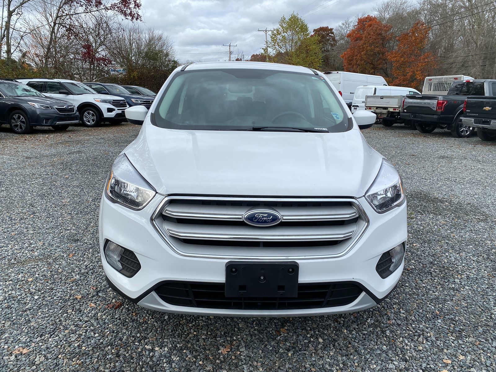 2019 Ford Escape SE 3