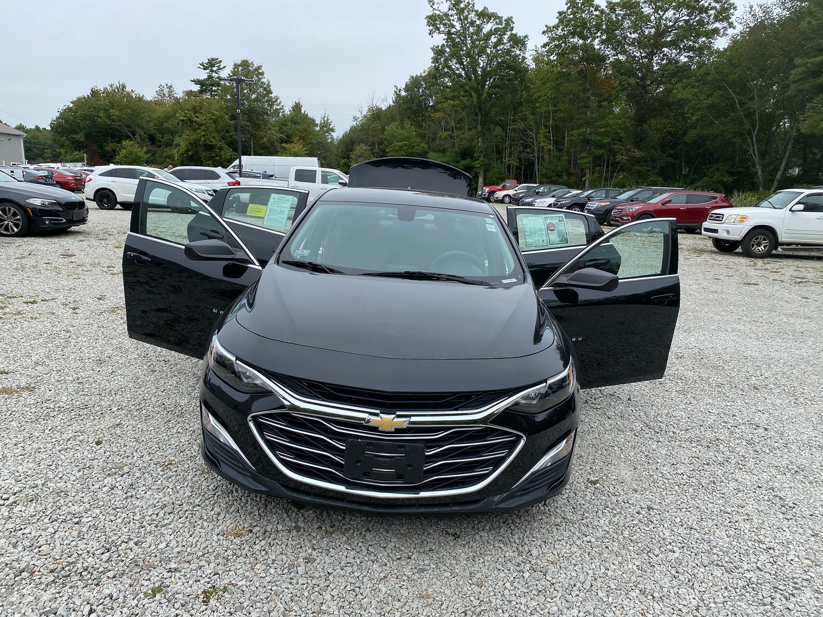 2019 Chevrolet Malibu LS 25