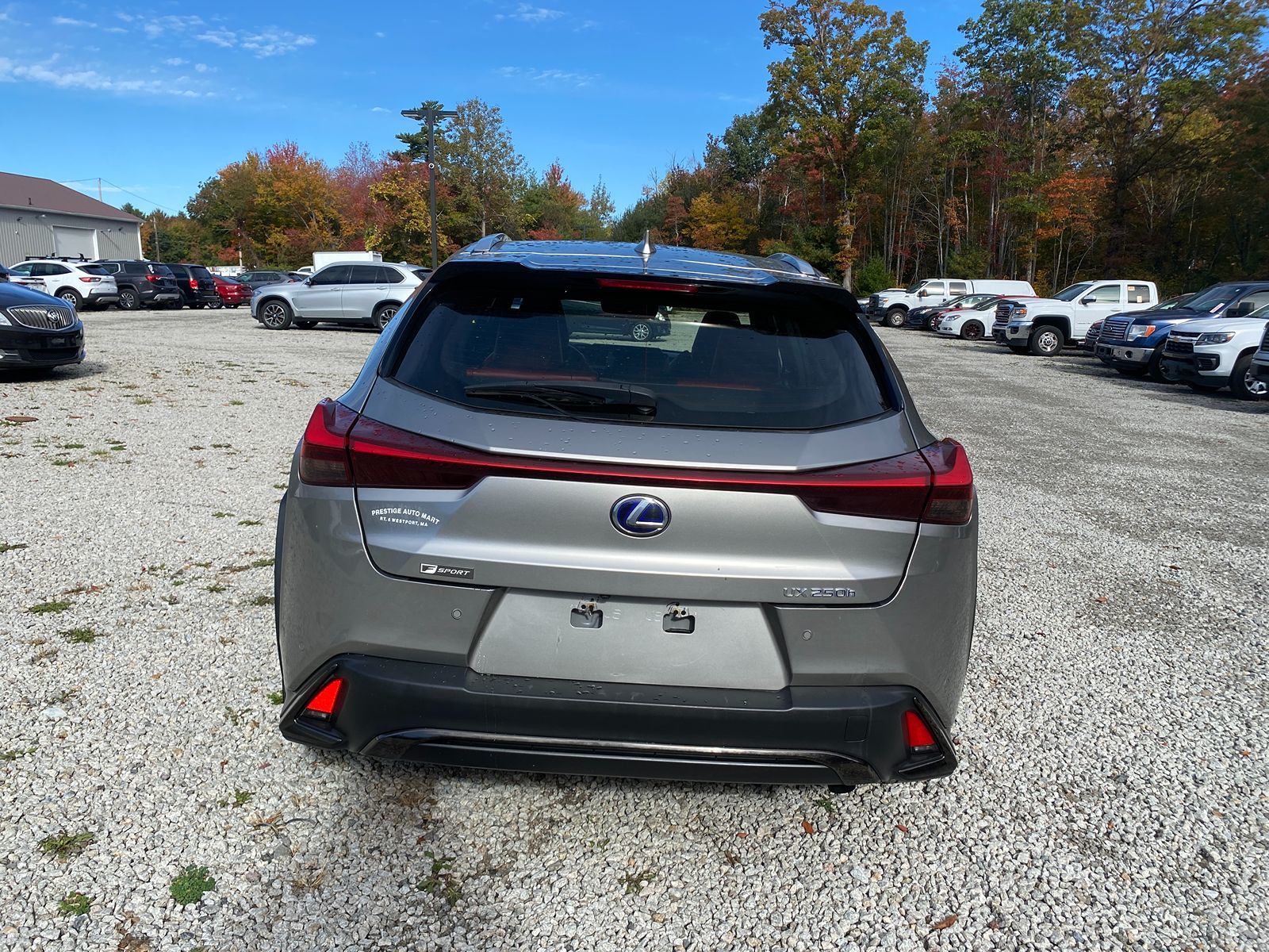 2019 Lexus UX 250h F SPORT AWD 6