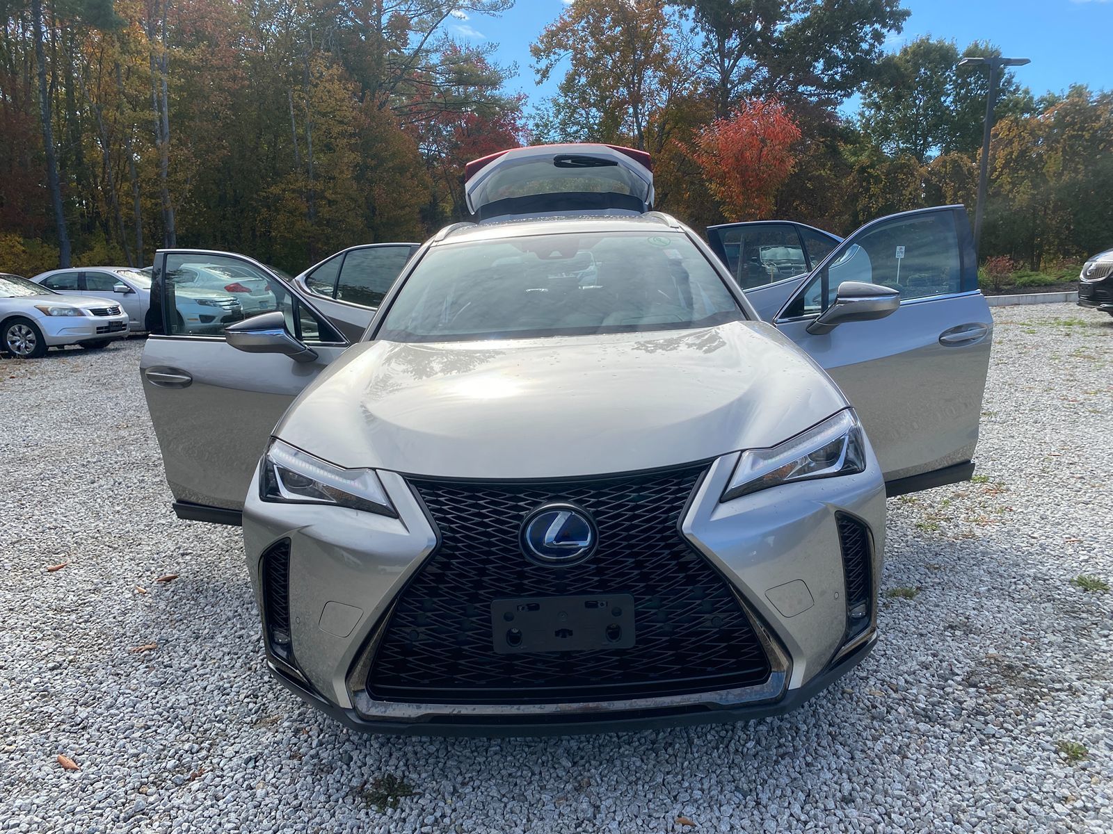 2019 Lexus UX 250h F SPORT AWD 28