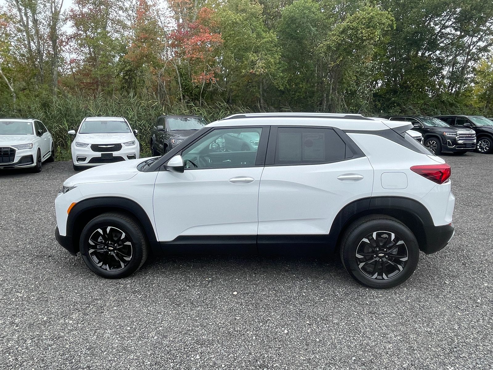 Image #9