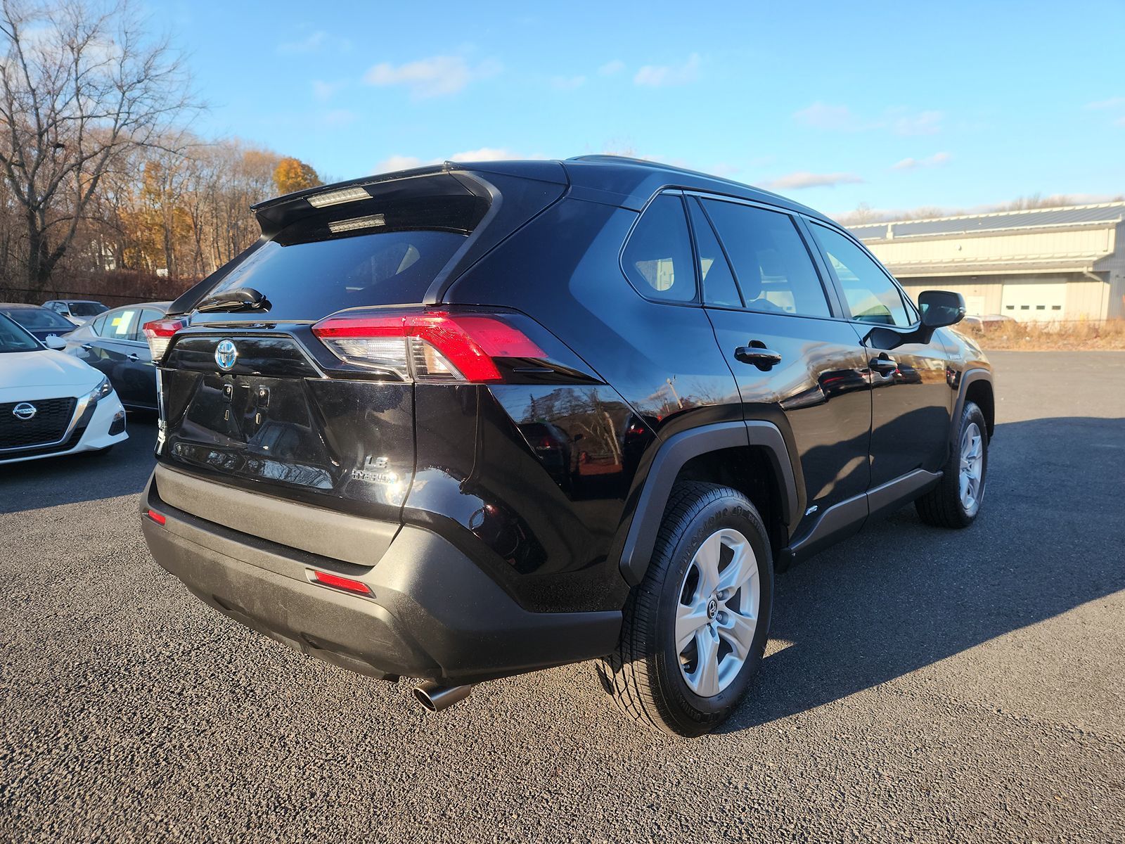 2019 Toyota RAV4 Hybrid LE 4