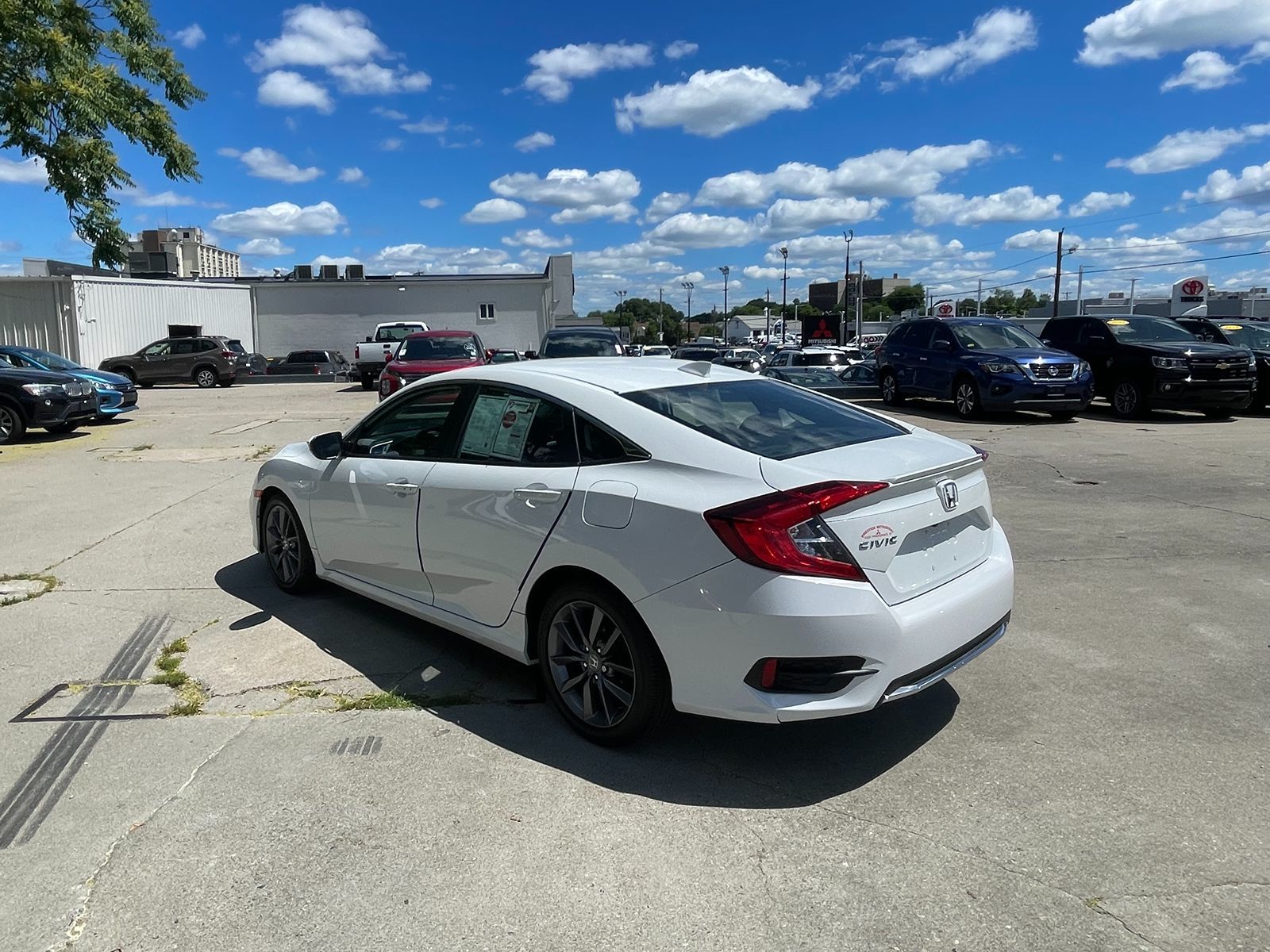 Image #8