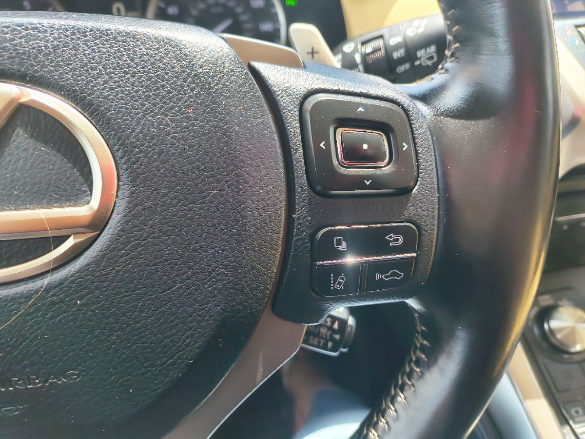 2018 Lexus NX 300 Premium photo 10