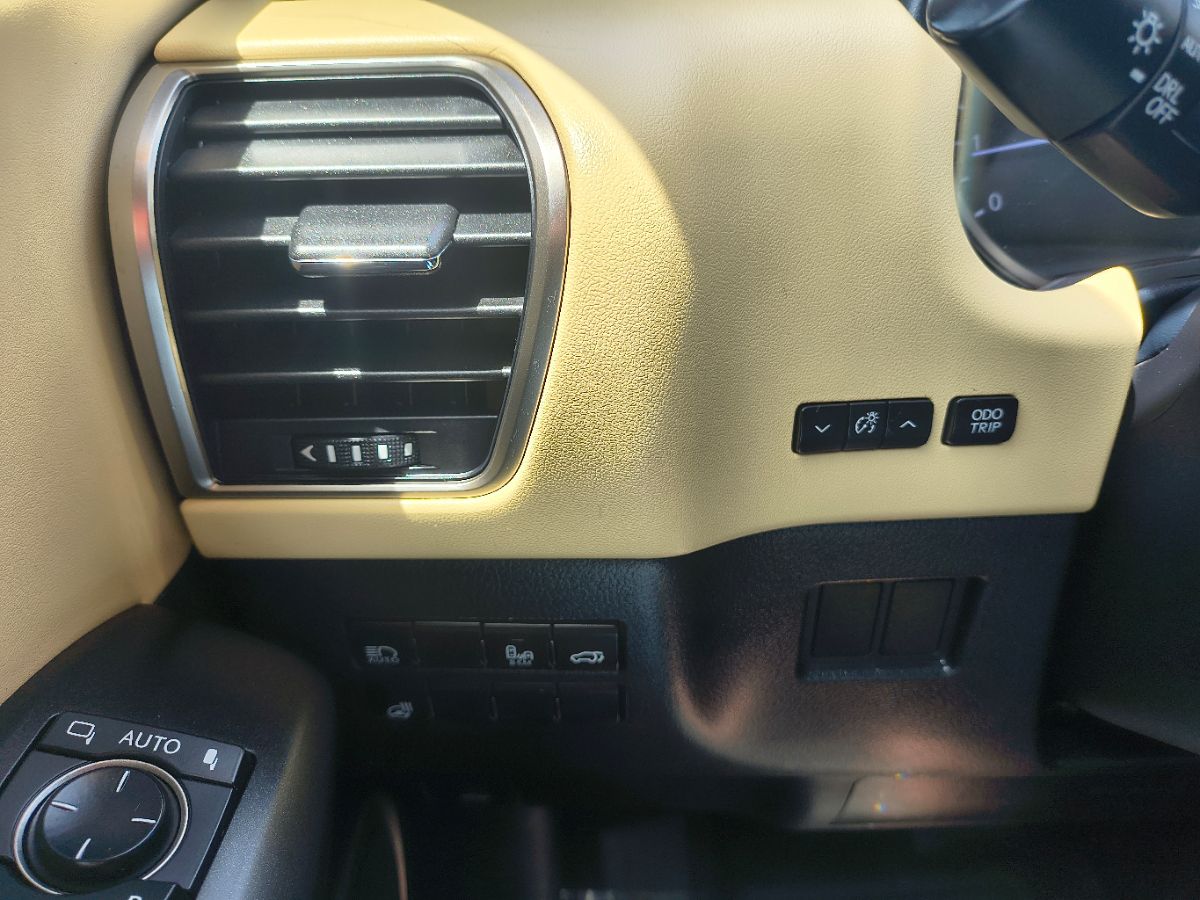 2018 Lexus NX 300 Premium photo 19