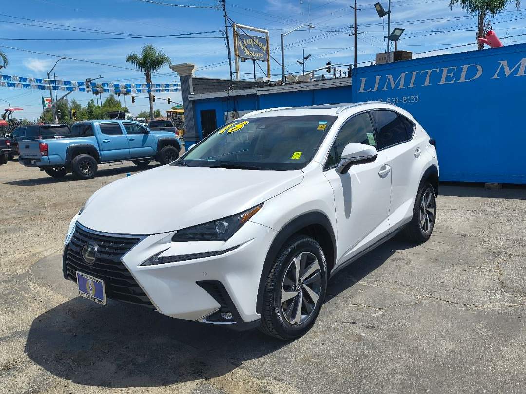 2018 Lexus NX 300 Premium photo 3