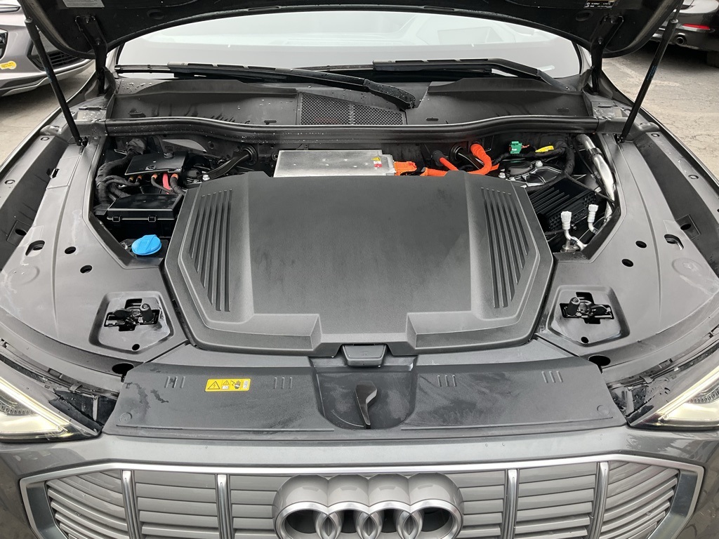 2019 Audi e-tron Prestige photo 10