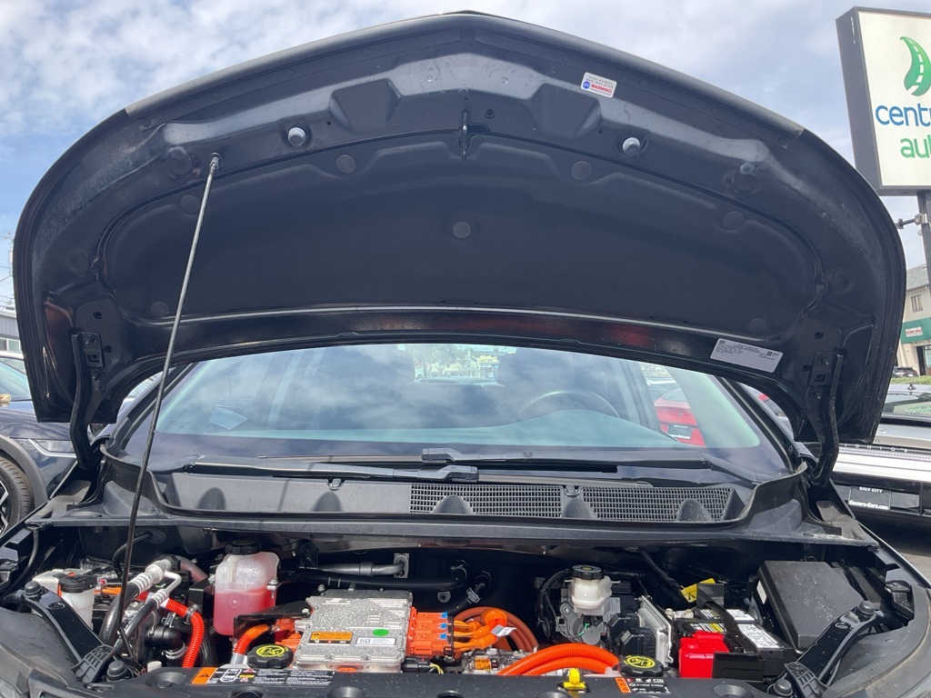 2017 Chevrolet Bolt EV Premier photo 11