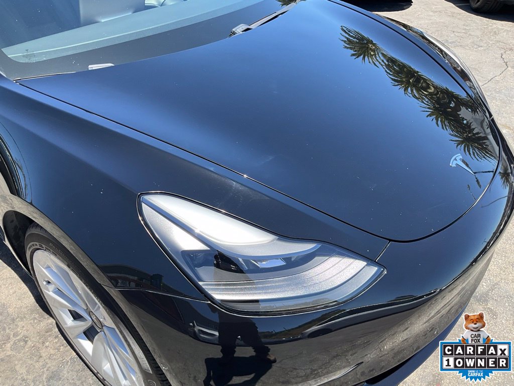 Image #81