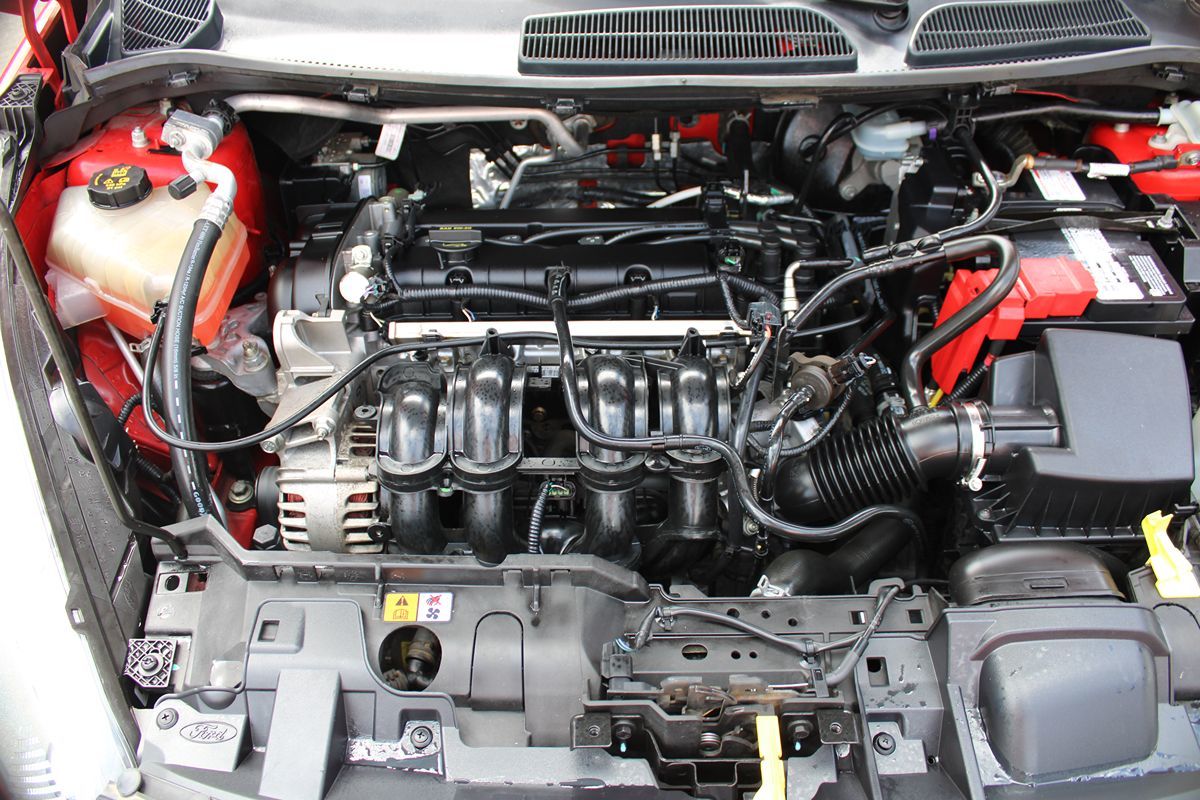 Image #5