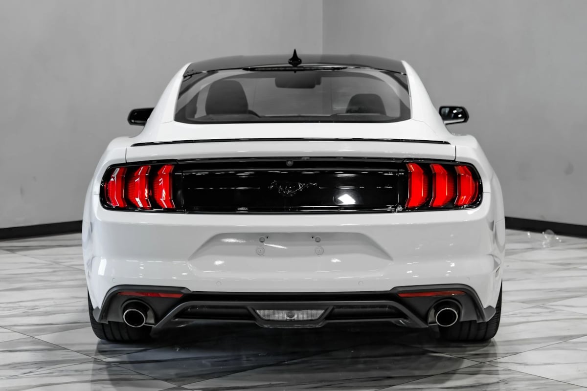 Image #11