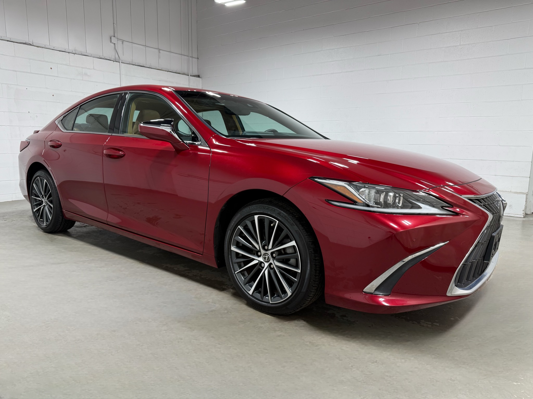 2022 Lexus ES 250 Premium photo 4