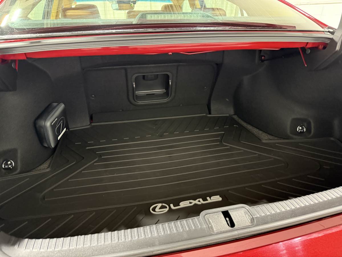 2022 Lexus ES 250 Premium photo 2