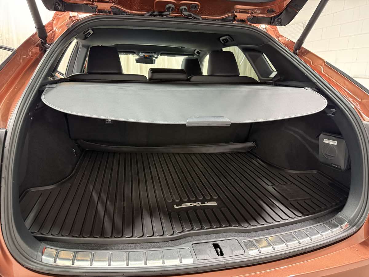 2024 Lexus RX 350 Premium AWD photo 2