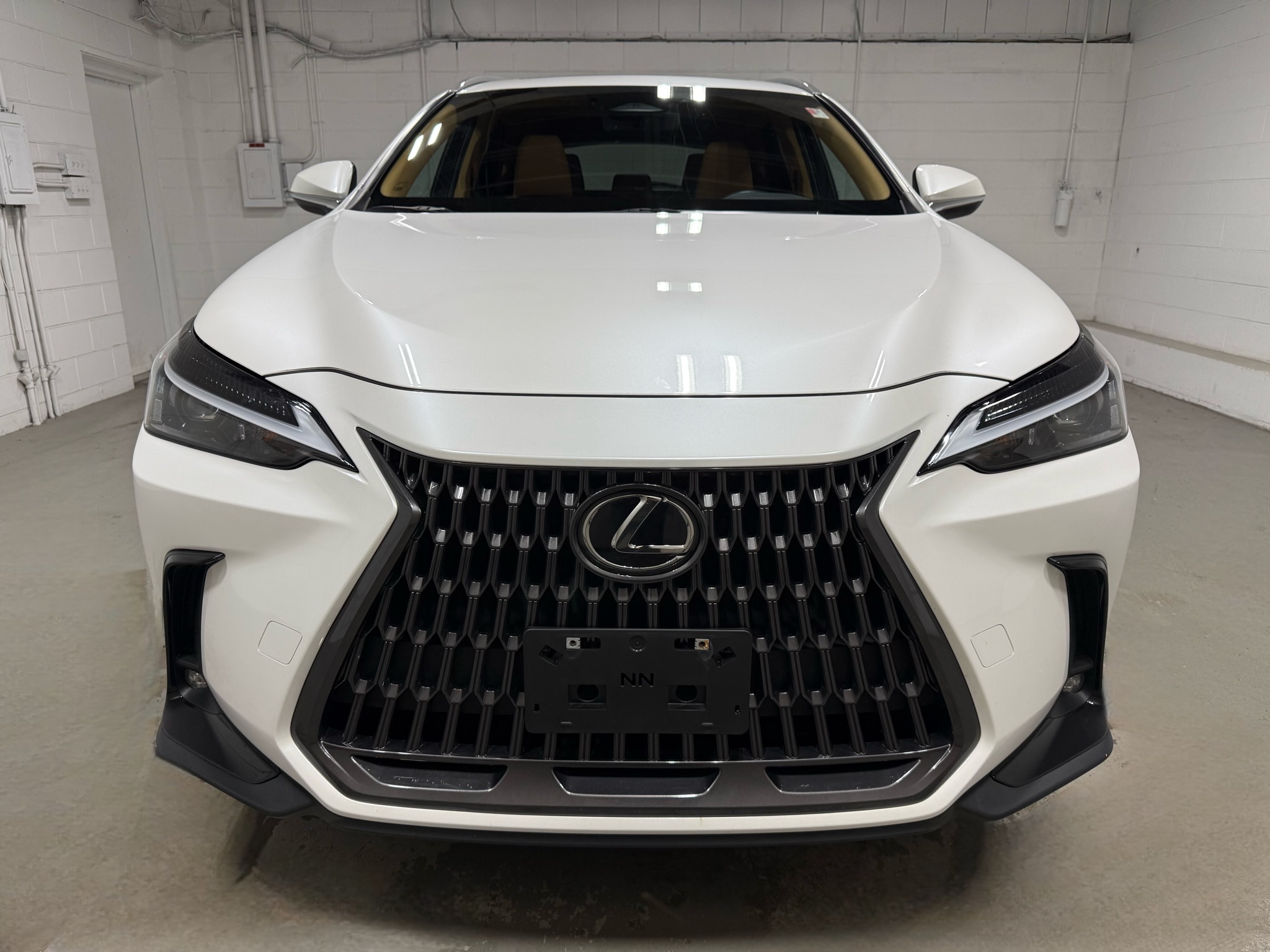 2024 Lexus NX 350 AWD photo 2