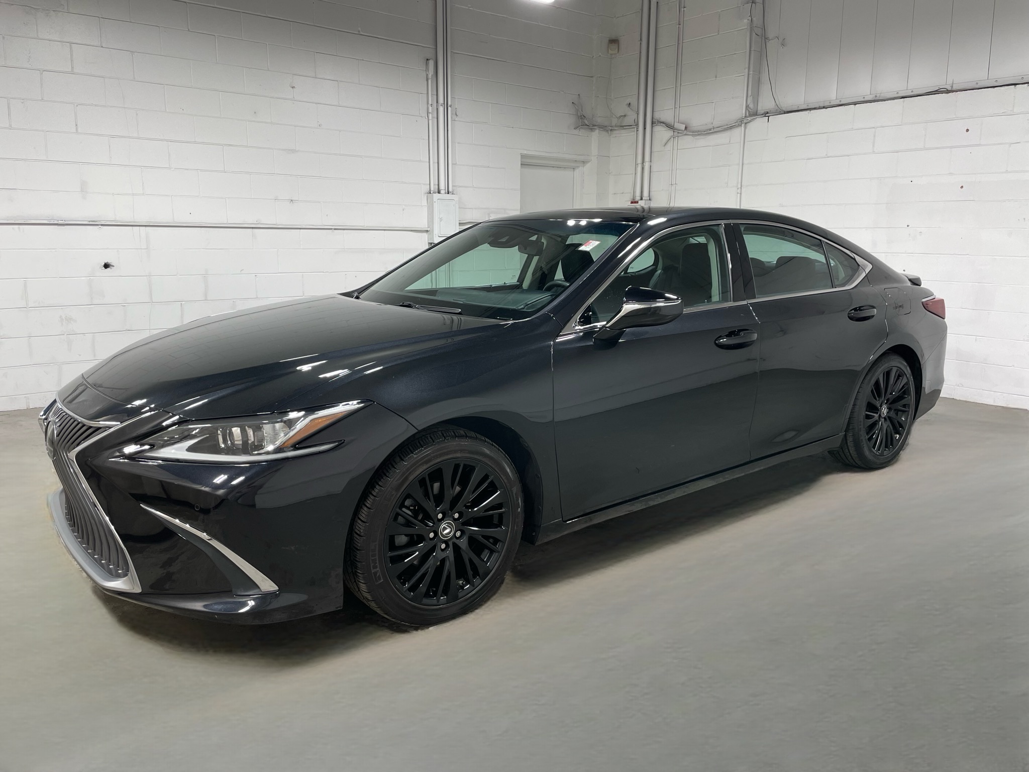 2021 Lexus ES 350 Premium Pack with Navigation, Panorama Roof