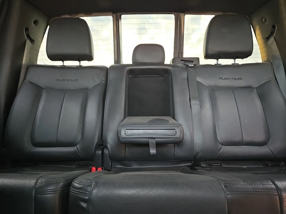 2013 Ford F-150 Platinum photo 10