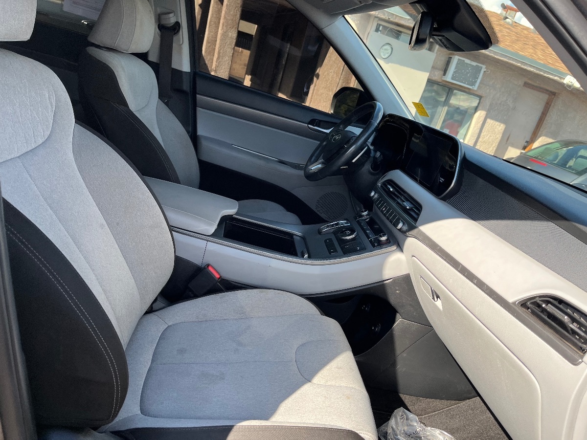 2020 Hyundai Palisade SEL photo 18