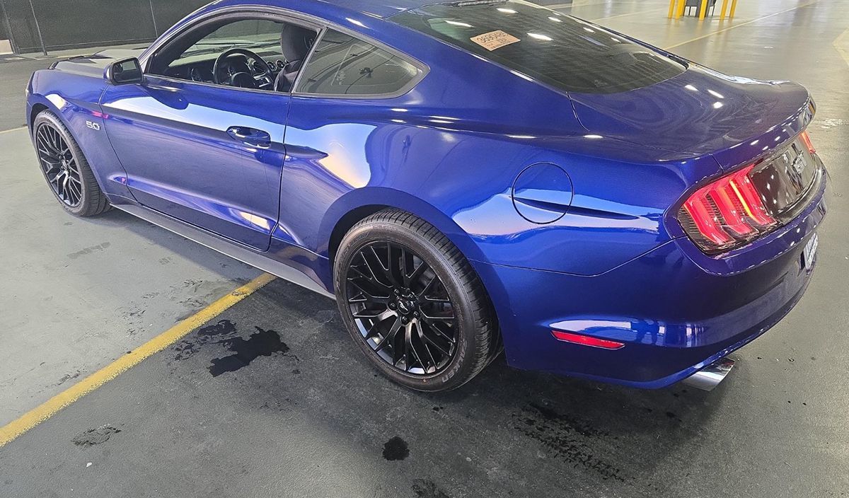 2015 Ford Mustang GT photo 6