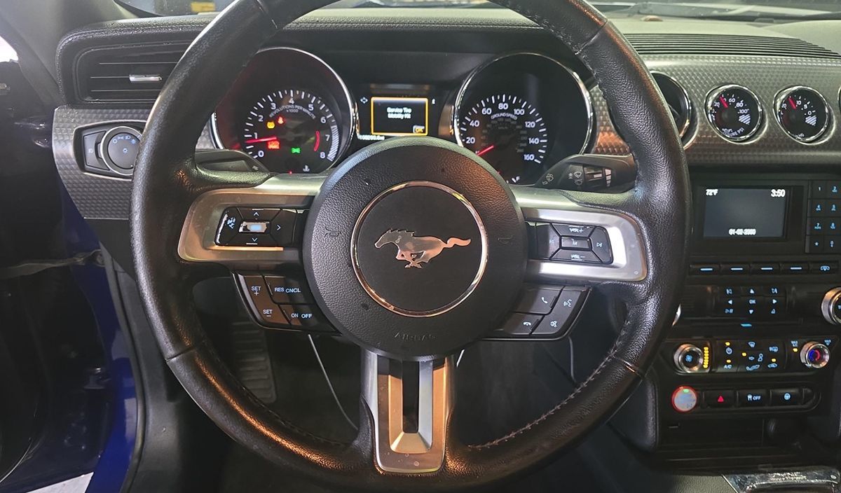 2015 Ford Mustang GT photo 10
