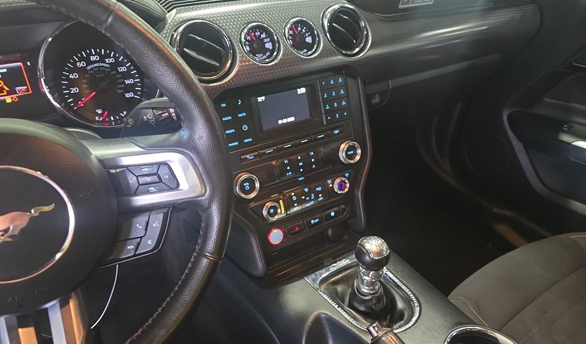 2015 Ford Mustang GT photo 11