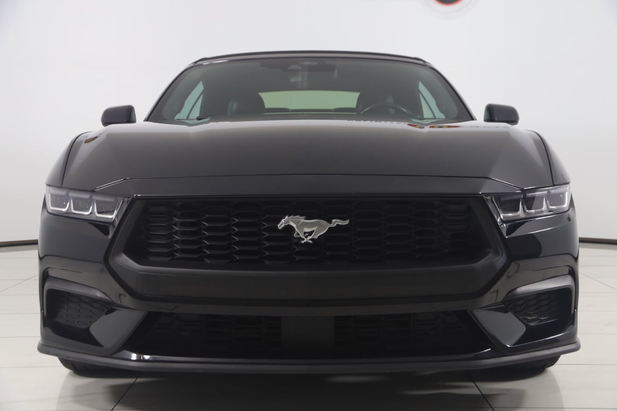 Image #48