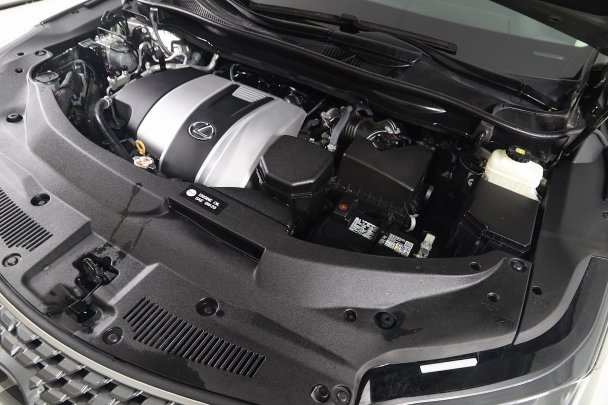 2022 Lexus RX 350 photo 19