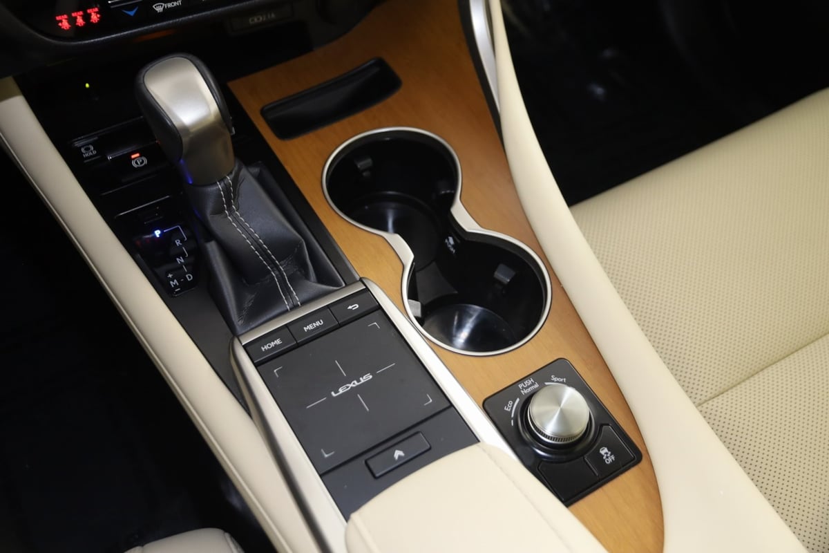 2022 Lexus RX 350 photo 29