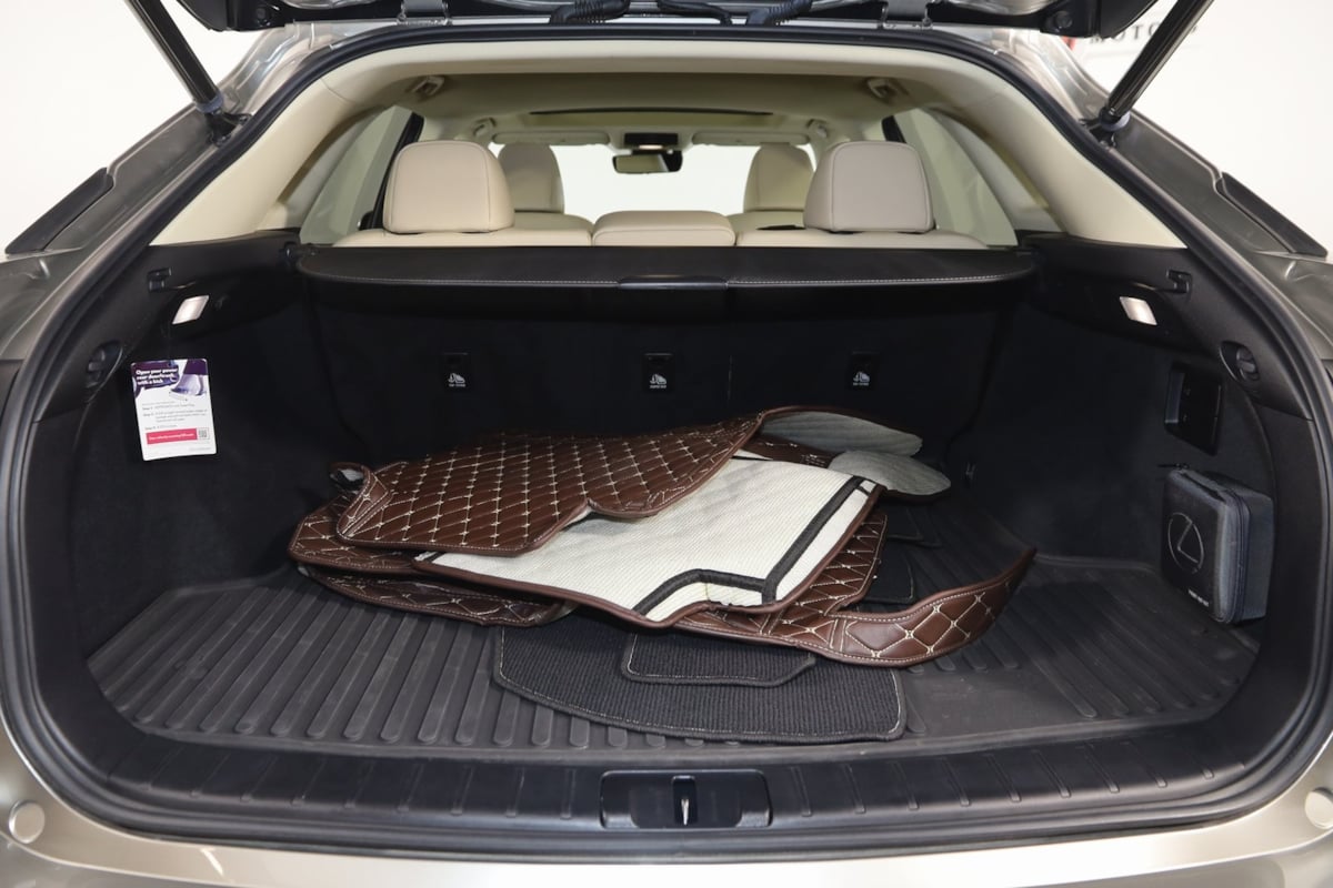 2022 Lexus RX 350 photo 57