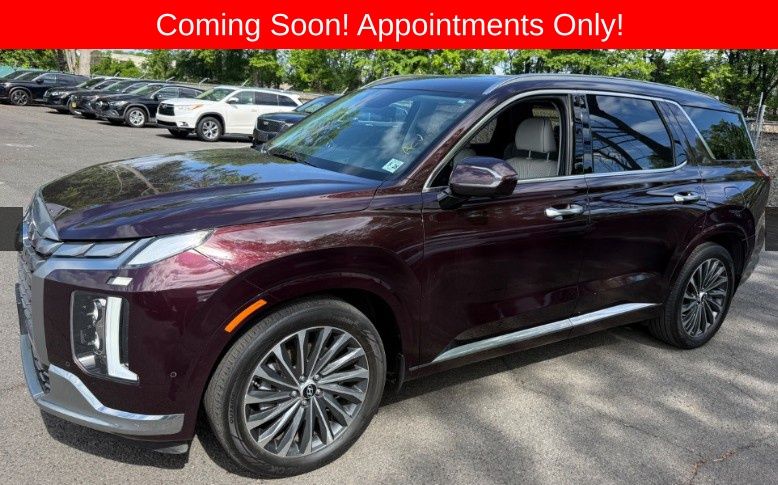 2023 Hyundai Palisade Calligraphy AWD's photo