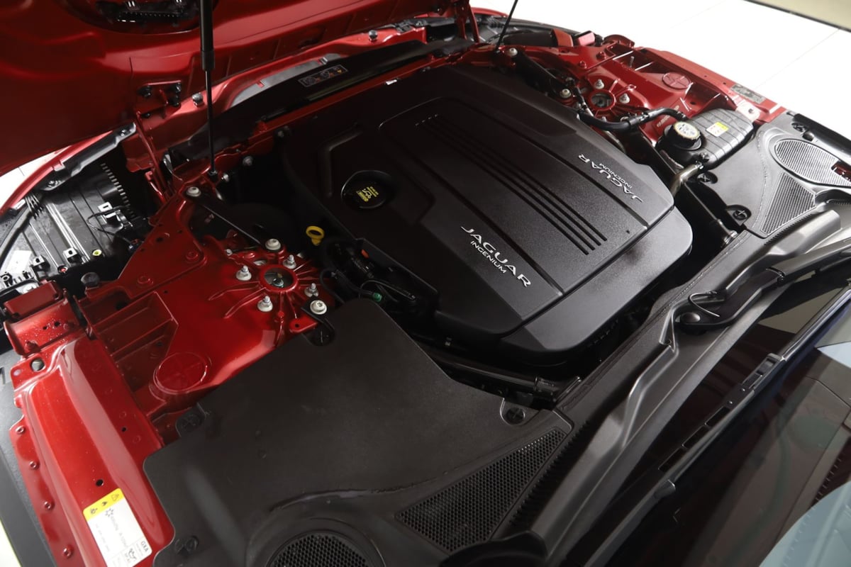 Image #24