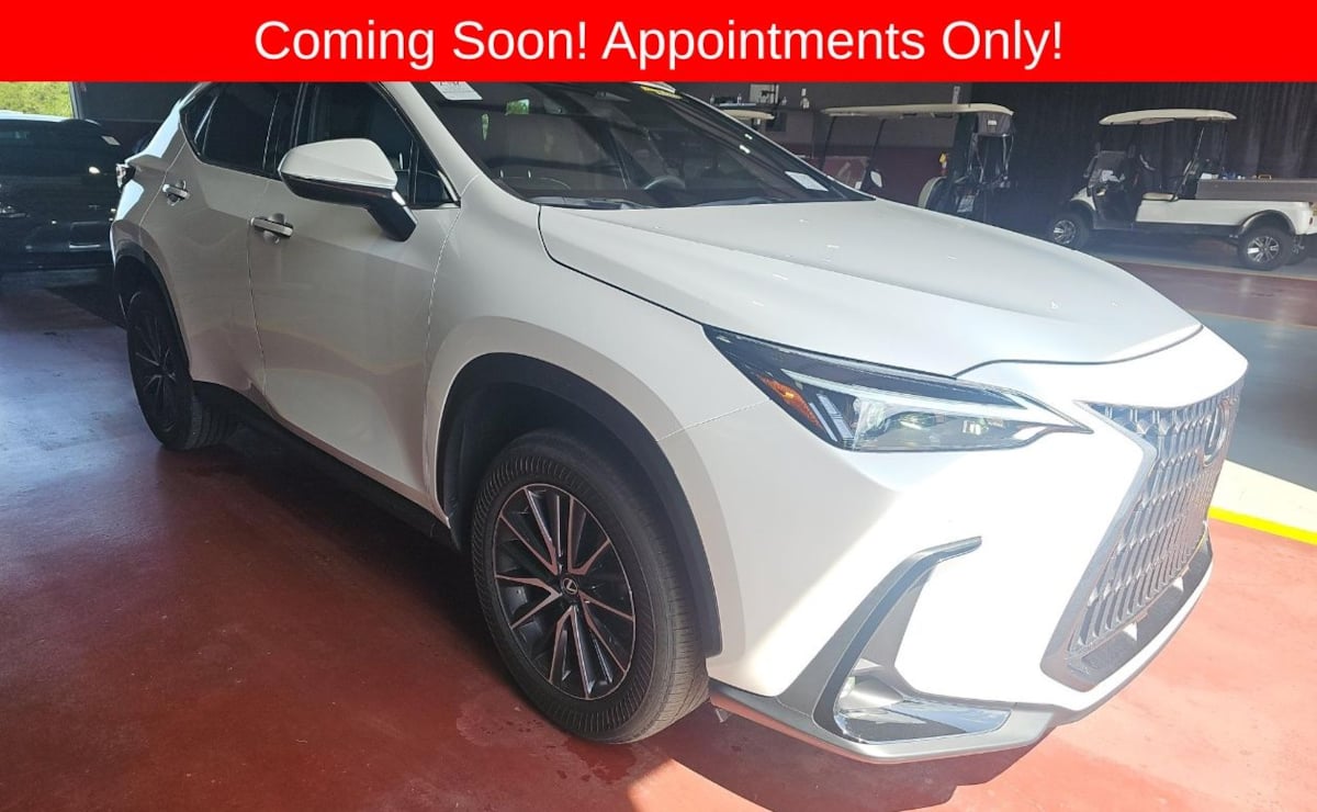 2024 Lexus NX 350 250 Premium FWD's photo