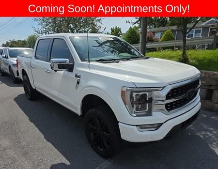 2022 Ford F-150 Platinum