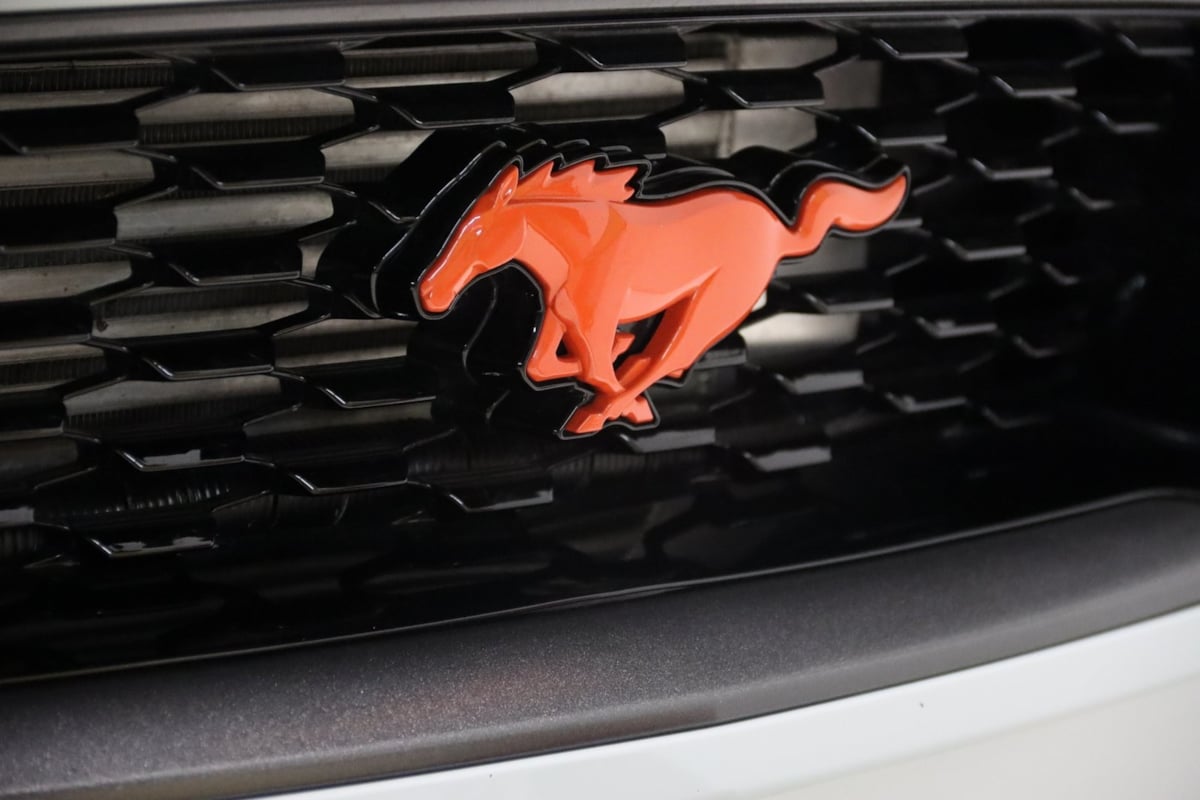 2021 Ford Mustang Mach 1 photo 22