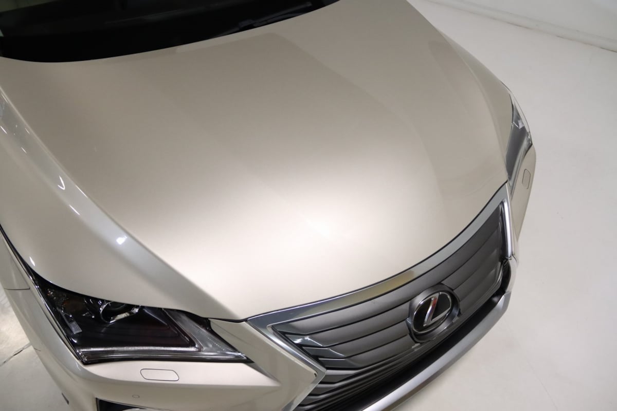 2018 Lexus RX 350 photo 18