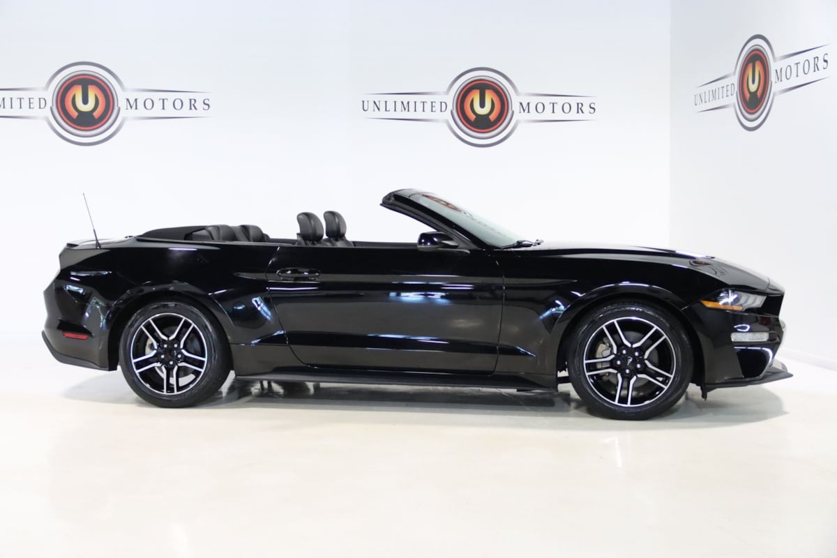 Image #33