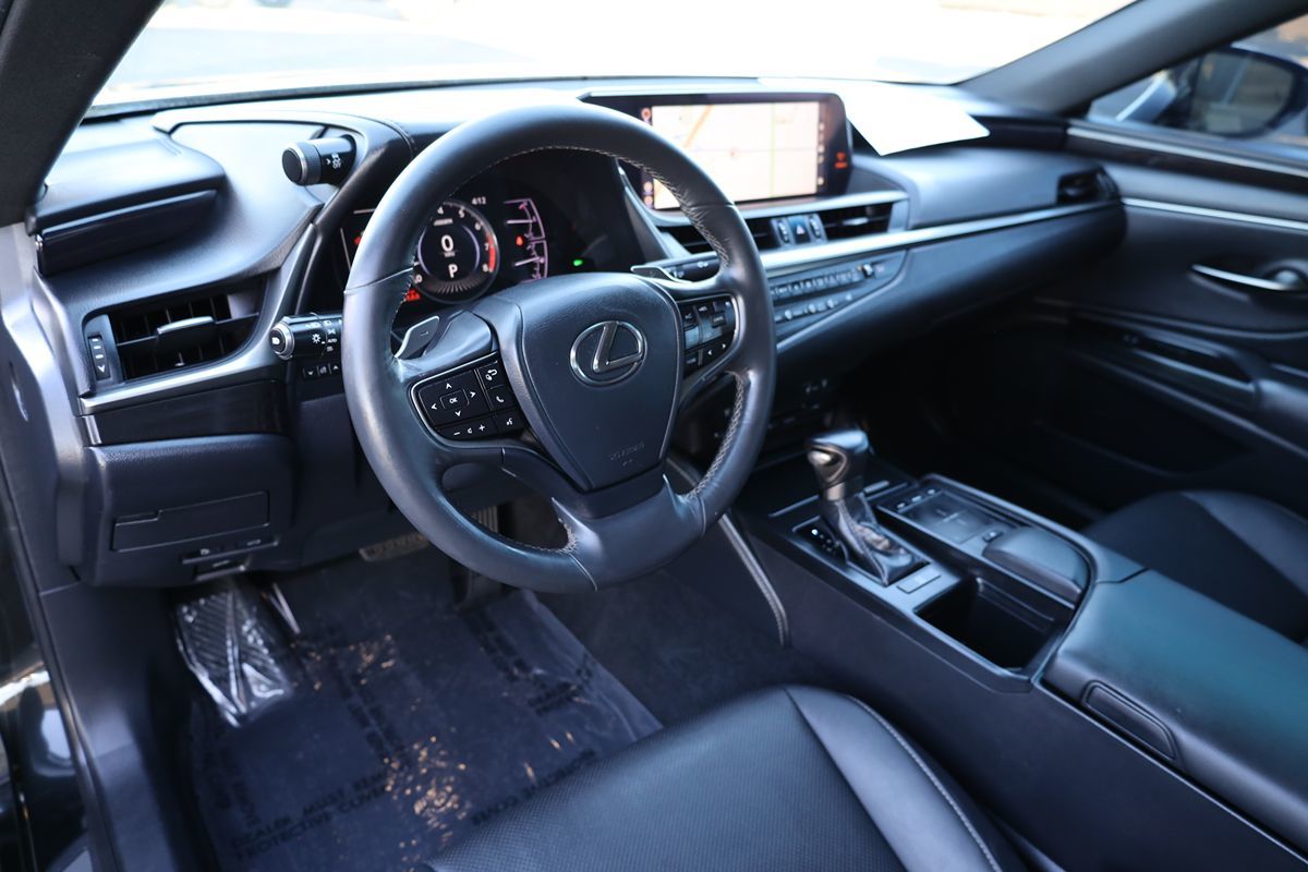 2019 Lexus ES 350 Luxury photo 19