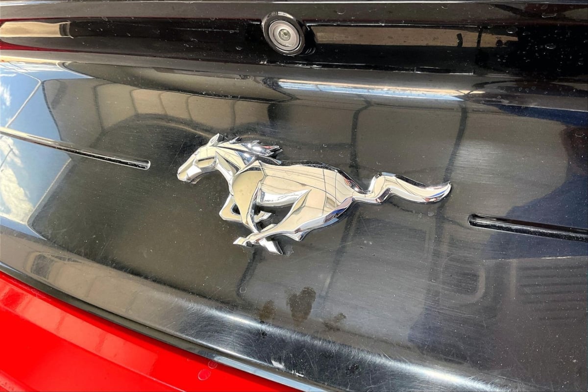 Image #22
