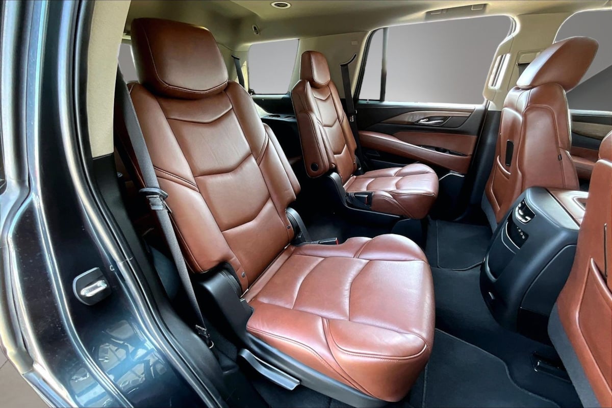 Image #24