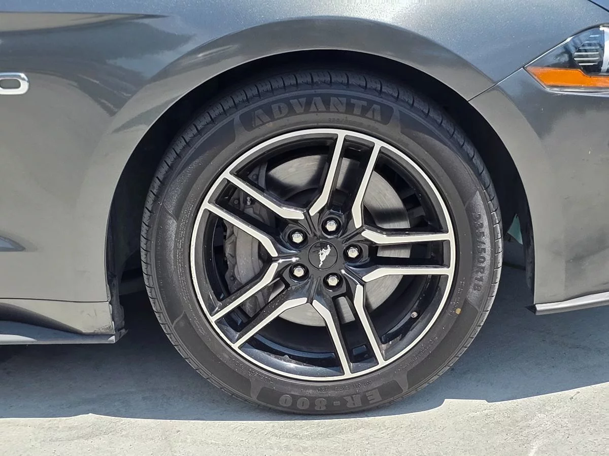 2020 Ford Mustang GT Premium - Carnova Inc. photo 9