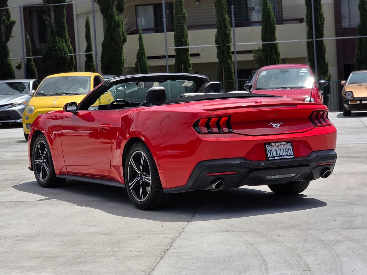 Ford Mustang photo 8