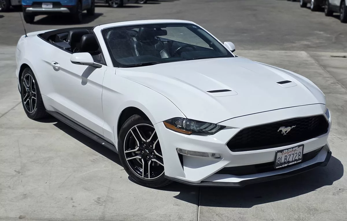 2019 Ford Mustang EcoBoost - Carnova Inc. photo 5