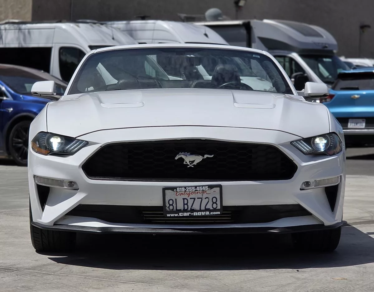 2019 Ford Mustang EcoBoost - Carnova Inc. photo 6