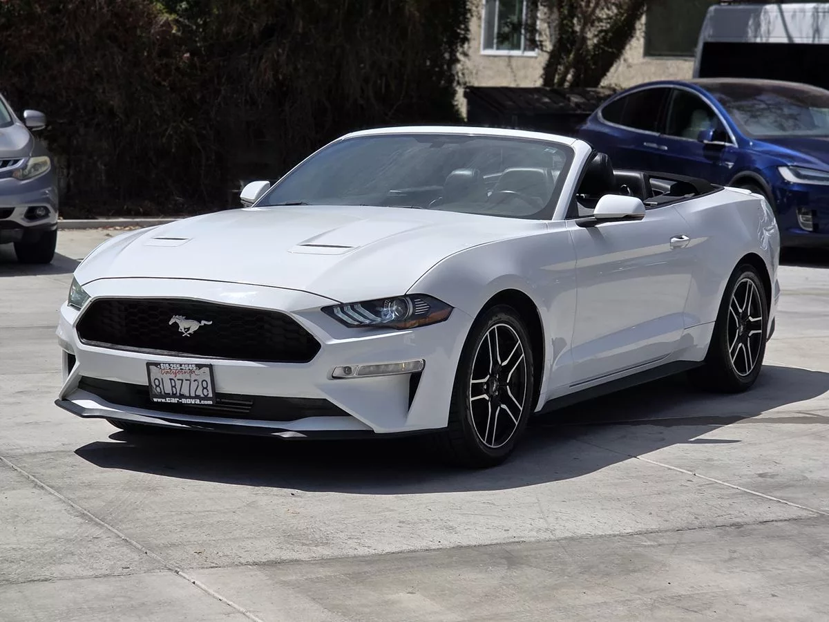 2019 Ford Mustang EcoBoost - Carnova Inc. photo 7