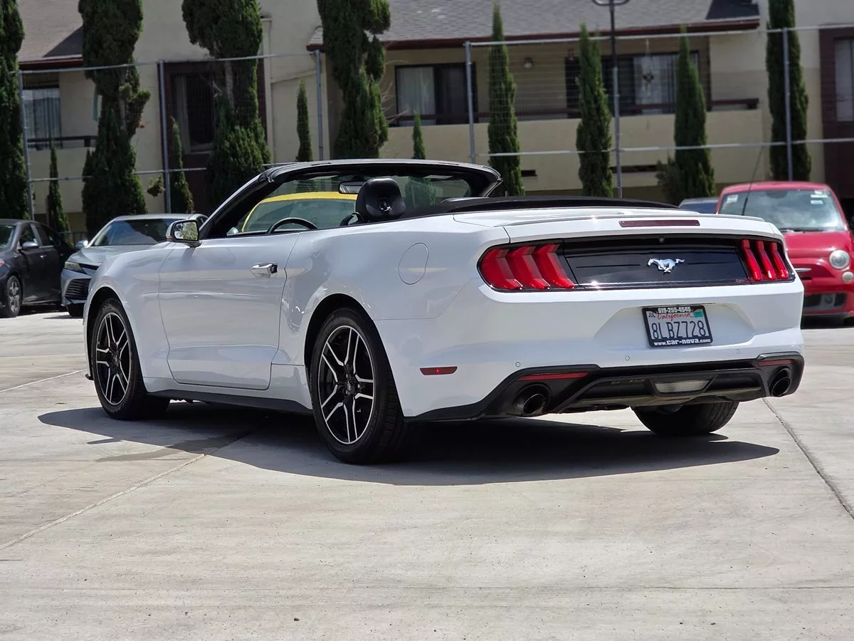 2019 Ford Mustang EcoBoost - Carnova Inc. photo 8