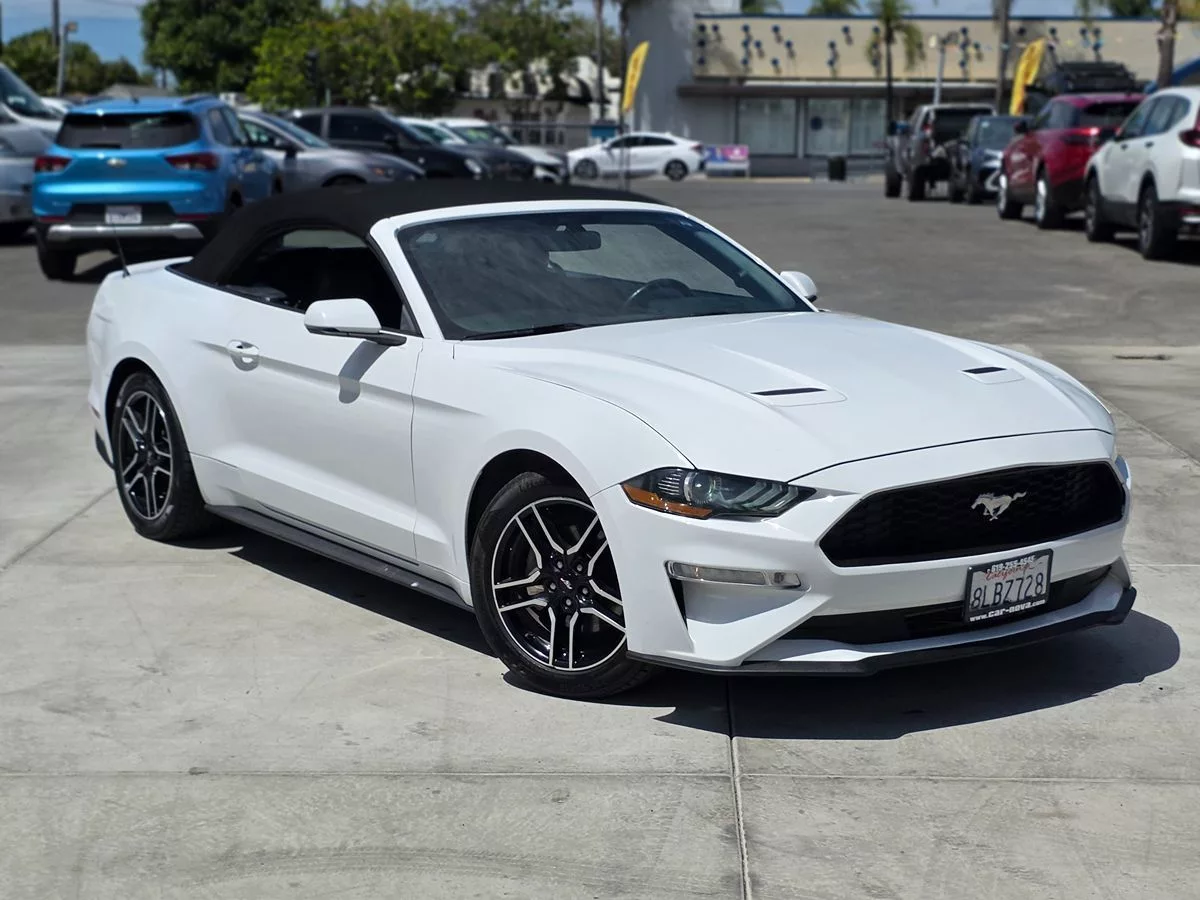 2019 Ford Mustang EcoBoost - Carnova Inc. photo 4